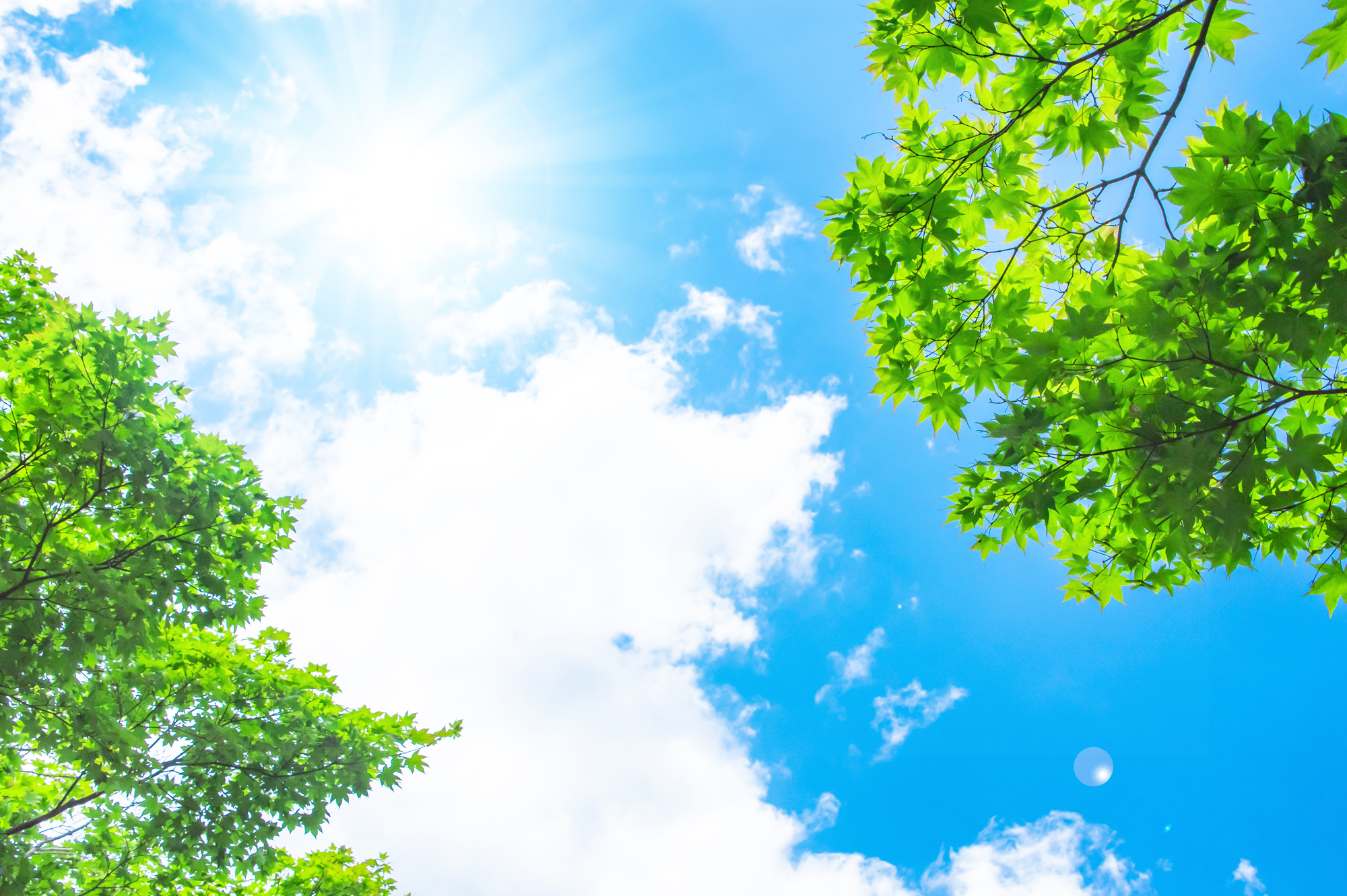 テキストテキスト / TEXT